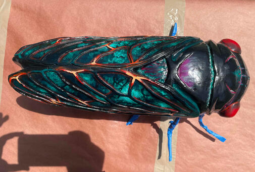 Cicada Parade-a work - Impasto Syndrome Cicada Parade-a work - Impasto Syndrome
